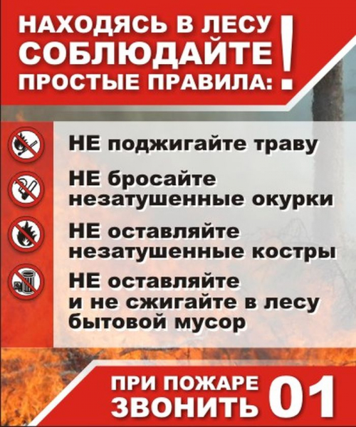  Запрет на разведение костров, выжигание сухой растительности и сжигание мусора введен в Иркутской области 